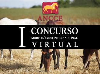 primer concurso virtual ancce