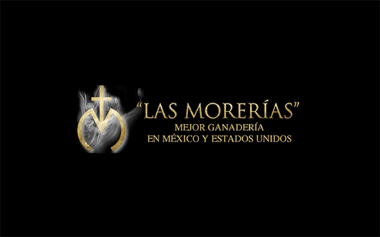 Las Morerias. Equipo de doma en Madrid